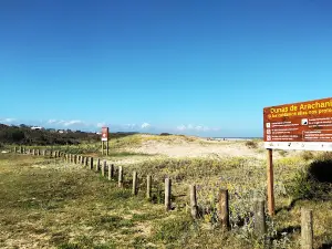 Arachania Beach