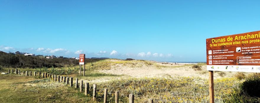 Arachania Beach