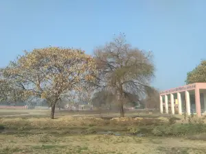 Chhani Stadium