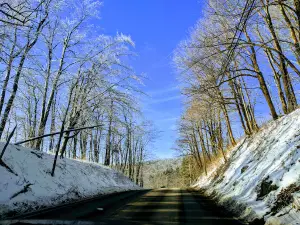 Laurel Ridge State Park