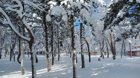 Bohdan Khmelnytsky Park