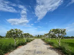 Tháp cổ Chót Mạt