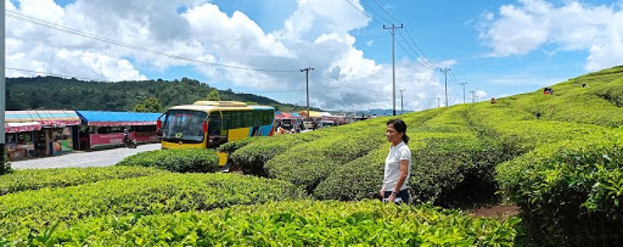 Kebun Teh Danau Kembar