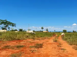 Estância Alto da Boa Vista