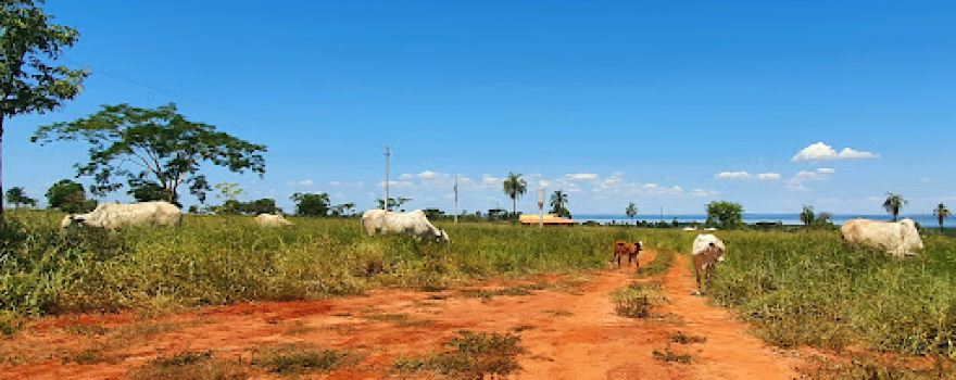Estância Alto da Boa Vista
