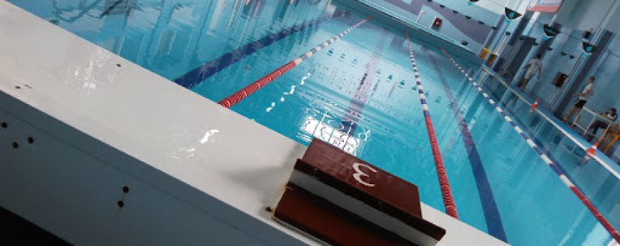 Pool "Dolphin"