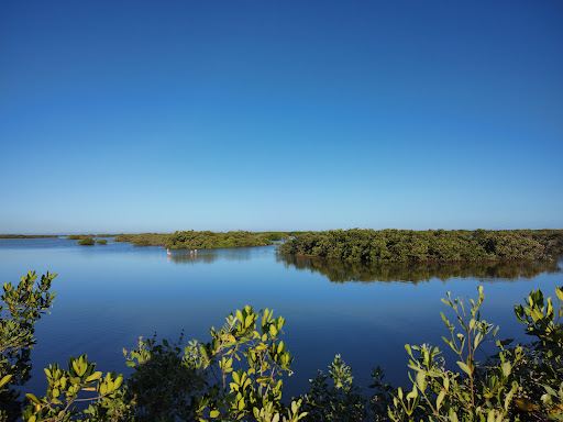 Área Natural Protegida Estatal Ciénagas y Manglares de la Costa Norte de Yucatán