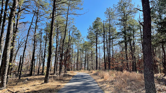 Мемориальный парк Ветеранс