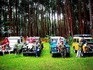 The Reungits Forest