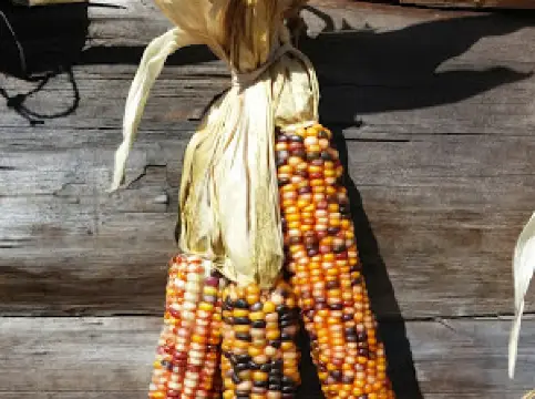 Lower Muskogee Creek Tribe