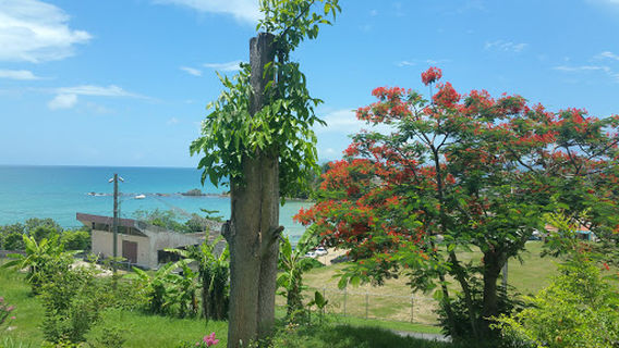 Ceiba Athletic Track / Pista Atletica de Ceiba