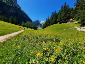 Talstation Luftseilbahn Wasserauen-Ebenalp AG