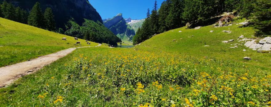 Talstation Luftseilbahn Wasserauen-Ebenalp AG