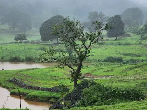 Kukru khamla