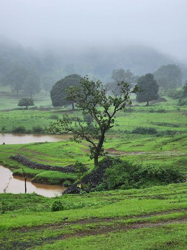 Kukru khamla