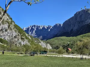Komarnica kurjak