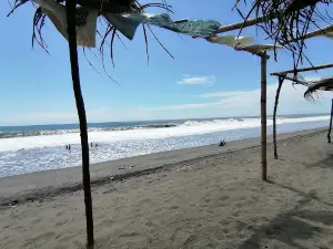 Playa El semillero
