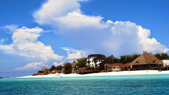 Spanish Dancer Divers