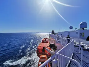 Picton Interislander Vehicle Check-In
