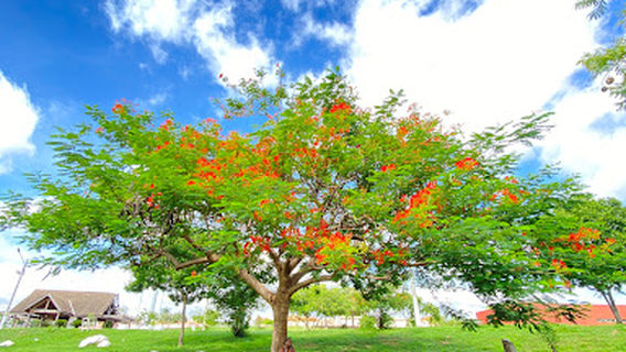 Municipal Park Lagoa Encantada