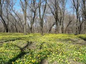 1st of May Park