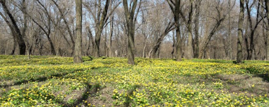 1st of May Park
