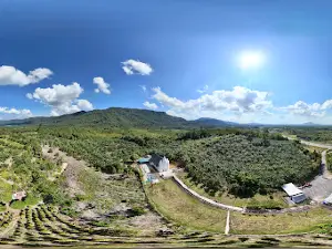 Mount Hosanna Jesus Prayer Chapel