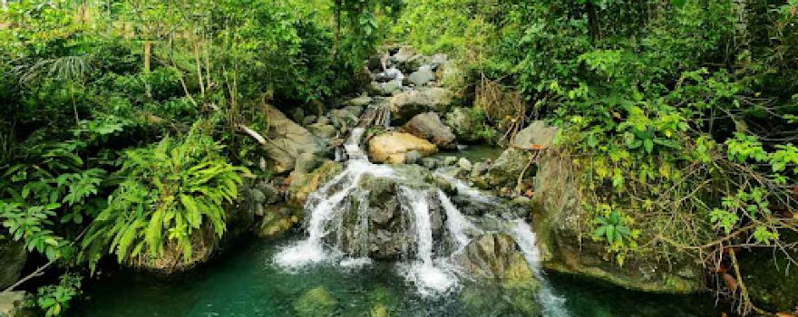 Tumipi Cold Spring