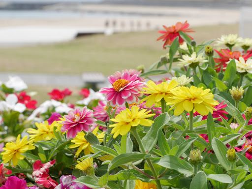 Compare 5 airports near Akashi