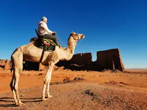 El Gour
