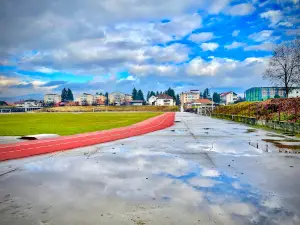 Stadionul Muscelul