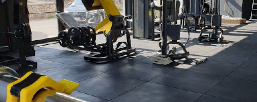 palestra ACTIVITY