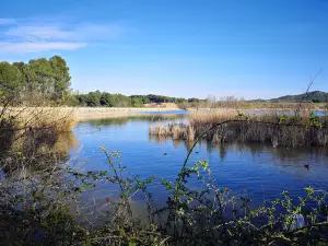 Grajera Park