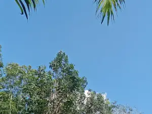 Taman PKK SK 16 Rantau Rasau II