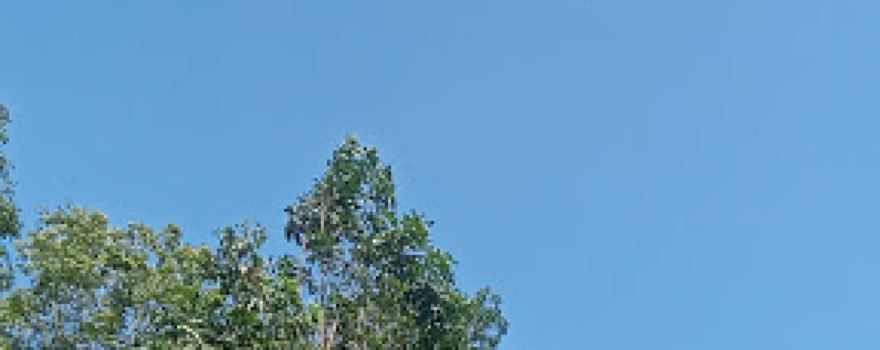 Taman PKK SK 16 Rantau Rasau II