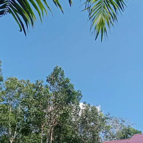 Taman PKK SK 16 Rantau Rasau II