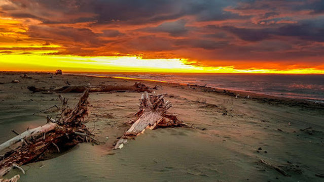 Kairaki Beach Motor Camp