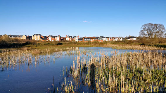 Abbotswood Nature Reserve