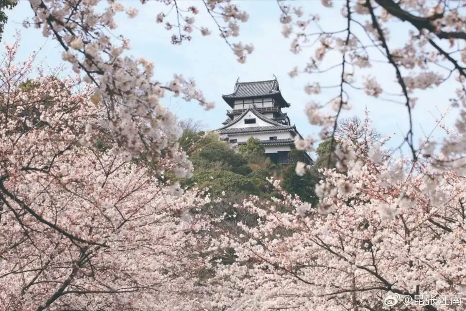 4_Inuyama Castle