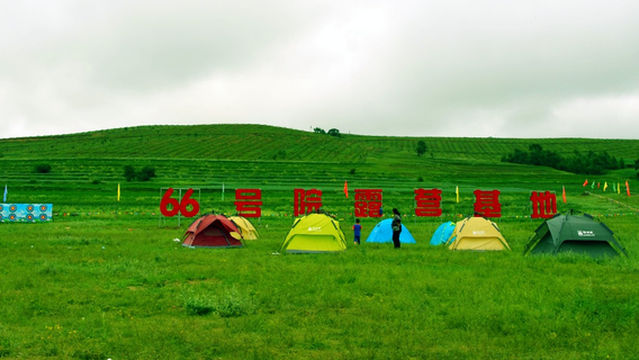 66 hao yuan lu ying ji di