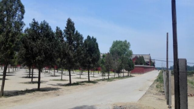 Tiefo Buddhist Temple