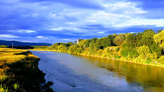 Parcul Municipal Onești