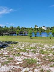 Shadow Bay Park