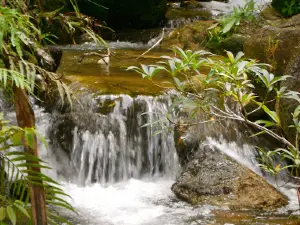 Ton Tae Waterfall
