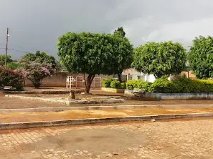 Boninal Flor da Chapada
