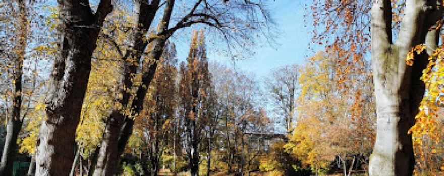 Geithain e.V. Zoo