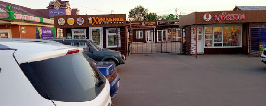 Ramonskaya Avtostantsiya