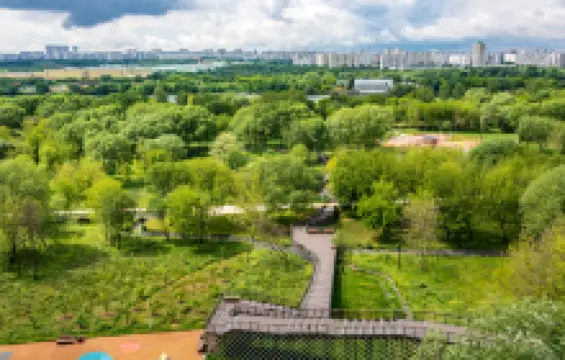 Берег реки Москвы в Капотне