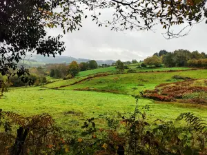 Arboretum de Chamberet