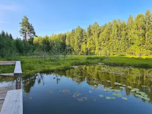 Viti järve matkarada